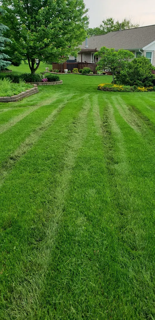 Lawn Care and Maintenance